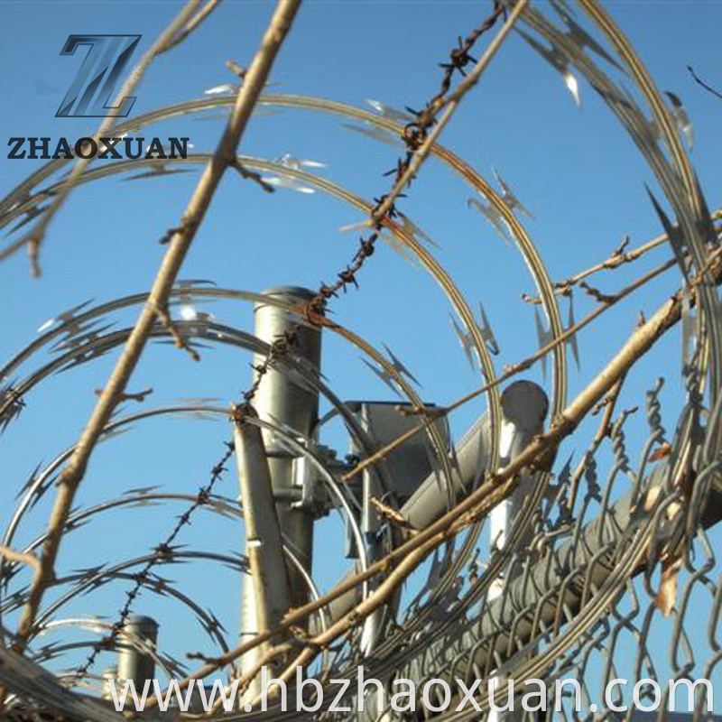 High Protective Quality Particular Design Factory Price Rot Proof Hot Dipped Galvanized Cross Razor Barbed Wire Fencing For Lawn
